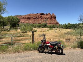 IMG_0074.jpeg