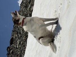 IMG_9024.jpeg