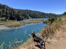IMG_0983.jpeg