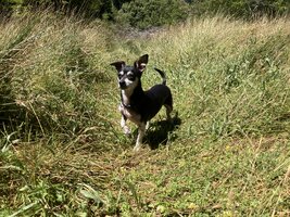 IMG_0971.jpeg