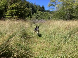 IMG_0966.jpeg