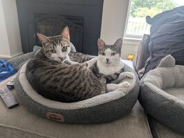 Sharing.jpg