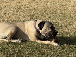IMG_1858.jpeg
