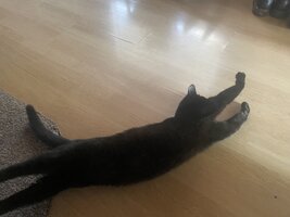 IMG_0843.jpeg