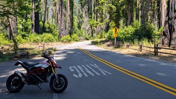 1000012437.jpg