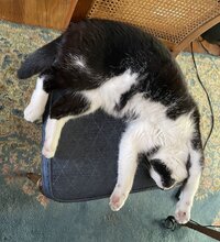 stretchbolt.JPG