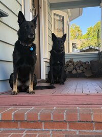 IMG_0663.jpeg