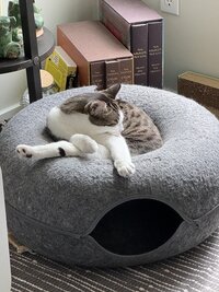 Yoga with Jenko.jpg