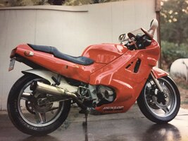 IMG_1299.jpeg IMG_1299.jpeg