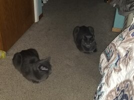 20260731_162814.jpg