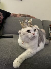 12629.jpg