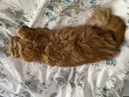 IMG_0749.jpeg