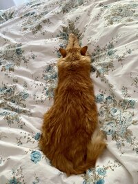 IMG_0747.jpeg