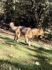 IMG_8674.jpeg