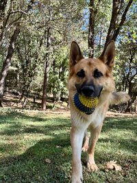 IMG_8680.jpeg