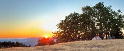 IMG_6408.jpeg