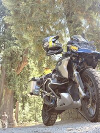 IMG_5175.JPEG