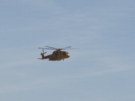 IMG_5239.JPEG