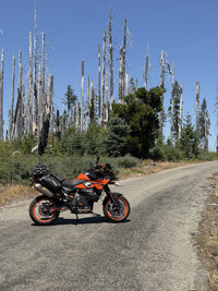 18-IMG_3377.jpg