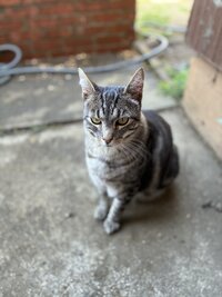 IMG_8993.jpeg