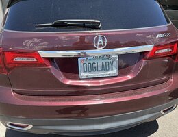 IMG_0288.jpeg