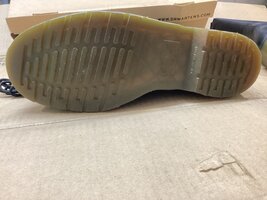 IMG_2669.jpeg