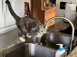 IMG_1864.jpeg