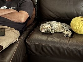 IMG_2278.jpeg