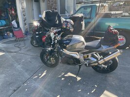 IMG_1235.jpeg