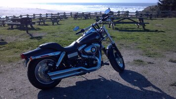Fat Bob no bags at beach.jpg