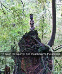 1788746388205.png
