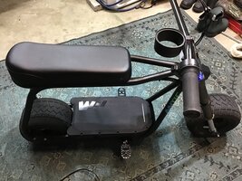 IMG_2595.jpeg