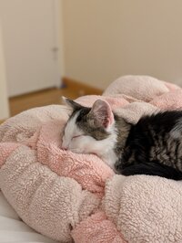 13097.jpg 13097.jpg