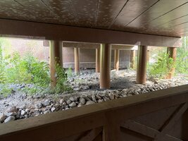 IMG_0346.jpeg