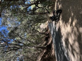 IMG_1683.jpeg