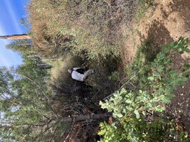 IMG_1830.jpeg