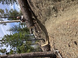 IMG_1832.jpeg
