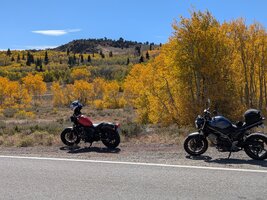 monitor -fall colors.jpg monitor -fall colors.jpg