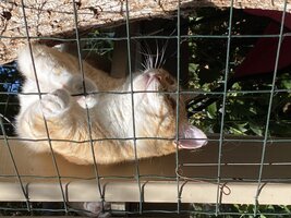 IMG_1372.jpeg