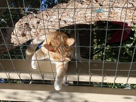 IMG_1375.jpeg