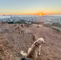 IMG_7350.jpeg