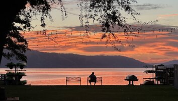IMG_2205.jpeg
