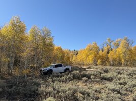 Monitor Pass Summit.jpg