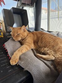 IMG_0997.jpeg