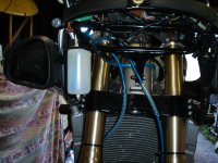 DSC00018.jpg