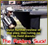 raiders_suck1.jpg