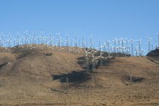 IMG_3616.jpg