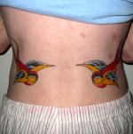 IMG_5994 SWALLOWS PCHOP 640.JPG