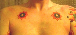 elph dump 8-29-07 Chest Bearings CROP1.JPG