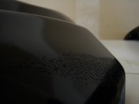 P2180004.jpg P2180004.jpg